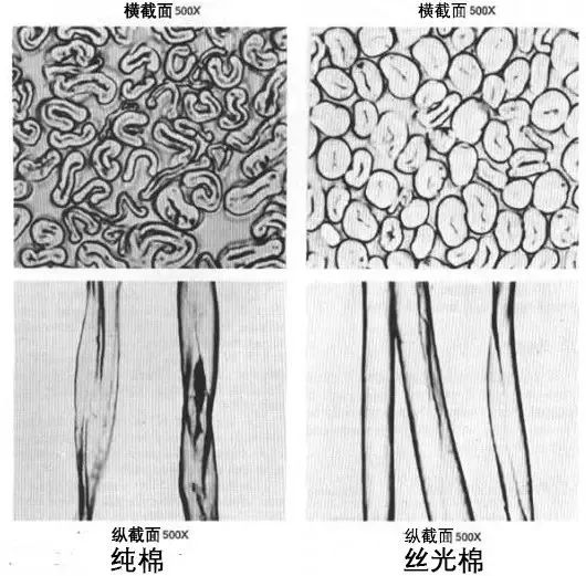 丝光棉2.jpg